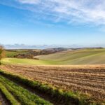 5 Things To Consider Before Buying Farmland