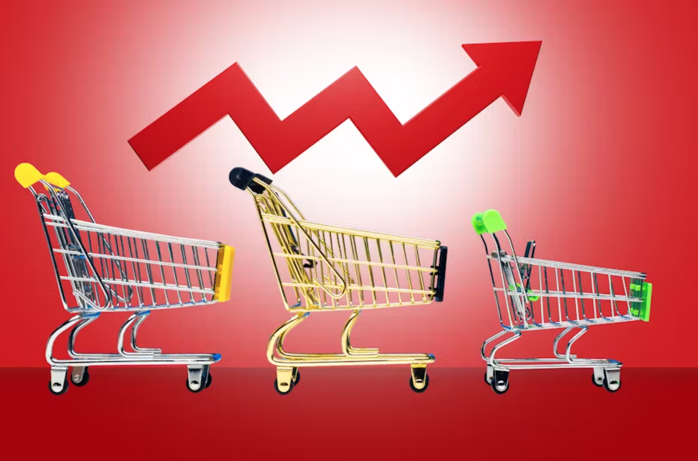 When grocery prices rise, it’s harder to fill your shopping cart.