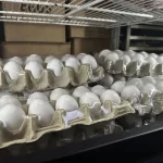 Cartons of eggs sit inside cooler at Norma’s Sweets Bakery Tuesday, Feb. 11, 2025, in New Orleans.