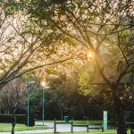 Sunset in public park