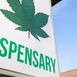 Differences between dispensary and Non-dispensary cannabis