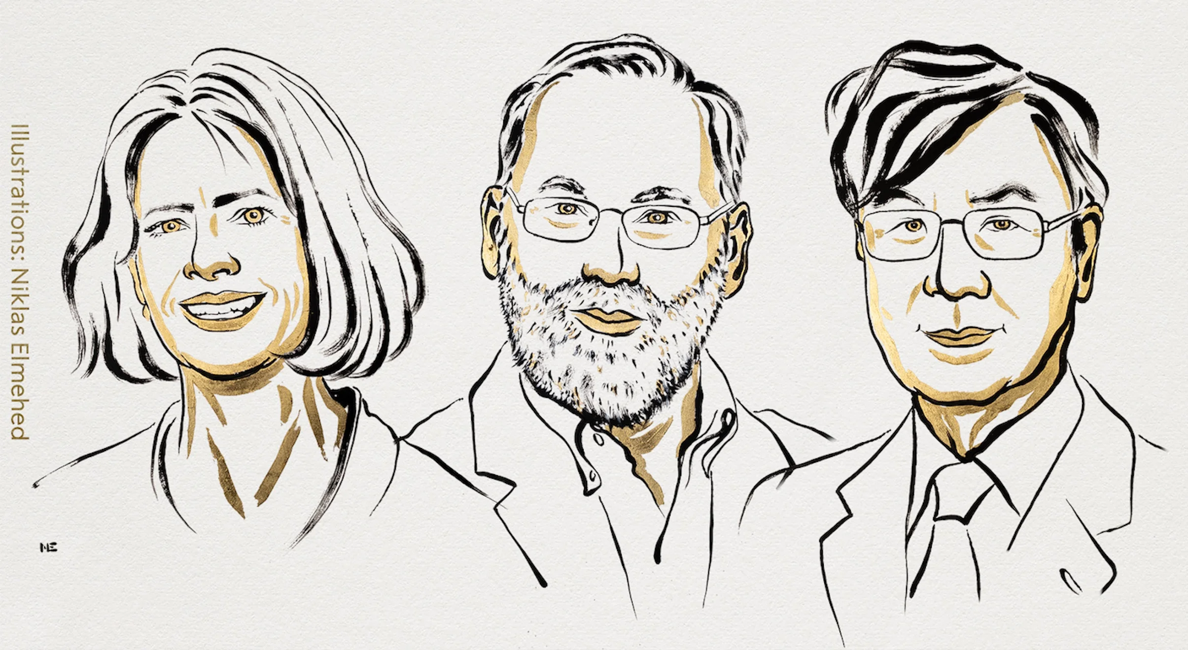 The 2025 Nobel Prize in Physiology or Medicine awarded to Mary E. Brunkow, Fred Ramsdell and Shimon Sakaguchi.