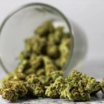 Cannabis falling out of a glass.