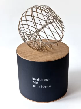 The Breakthrough Prize trophy was created by Olafur Eliasson.