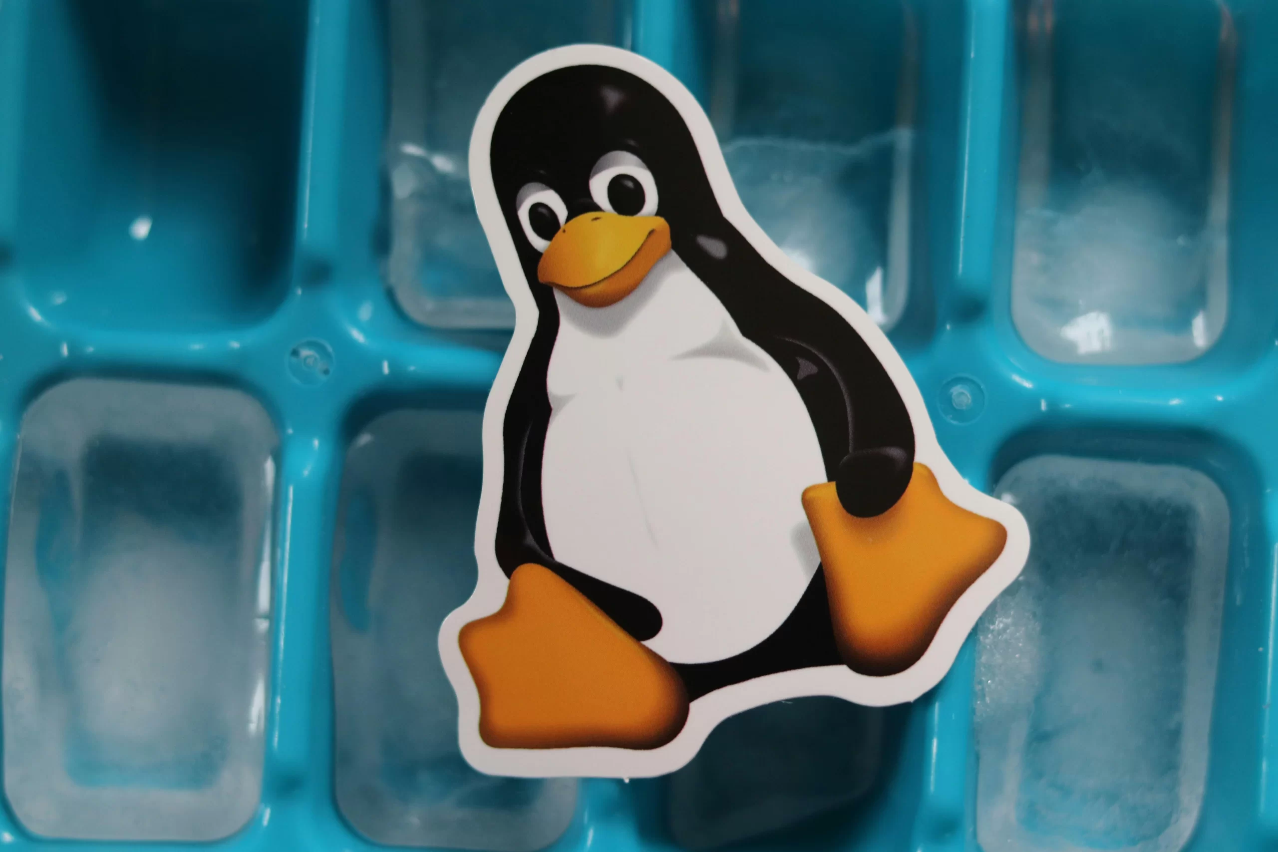 Close-up of a Linux penguin.