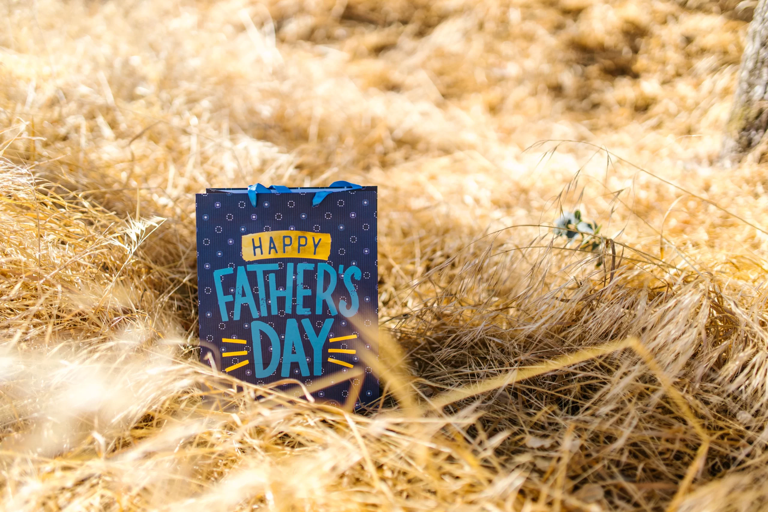 A Happy Father's Day gift bag sits amidst golden grass under the sun, celebrating the occasion.