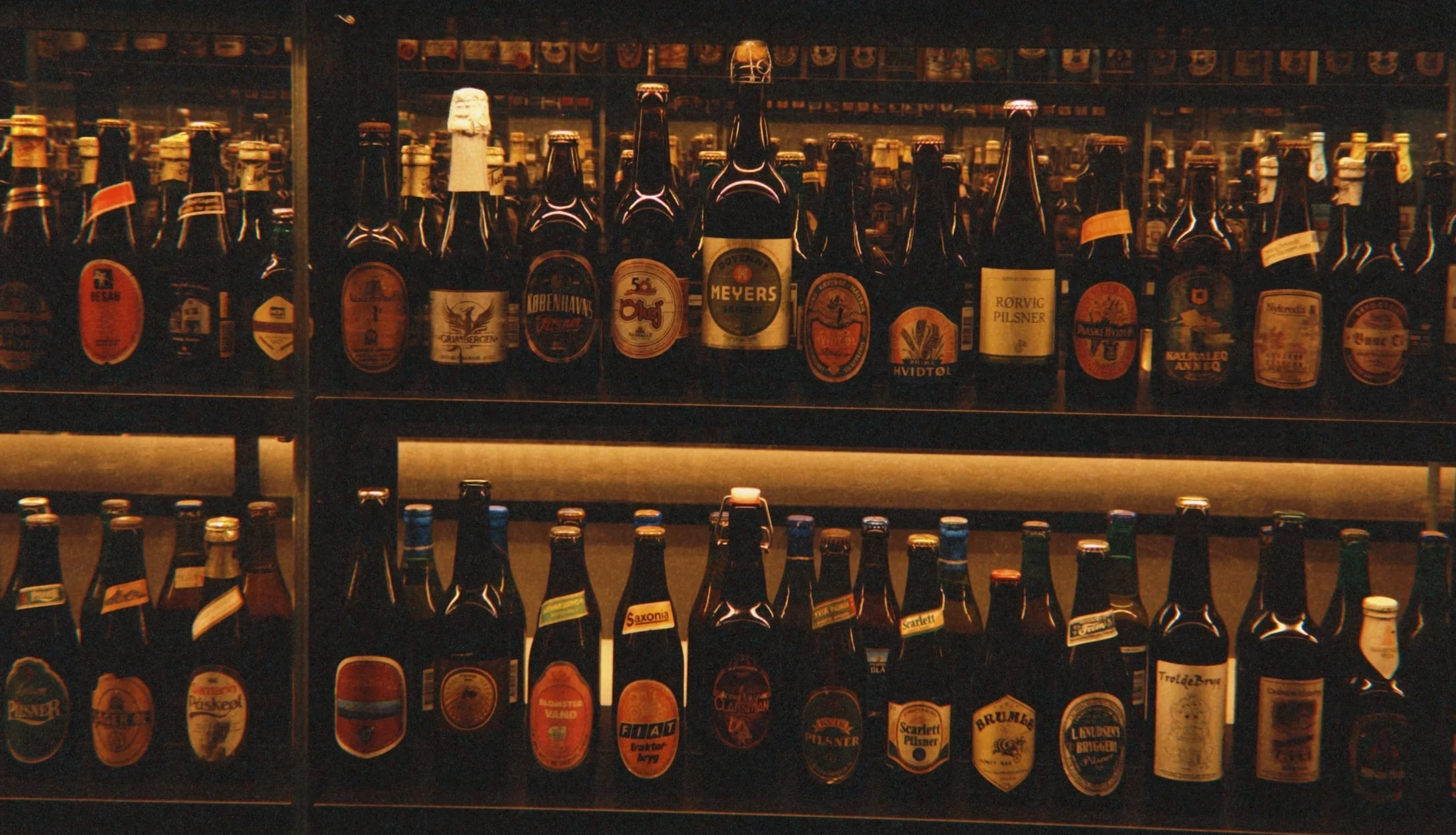 A collection of diverse beer bottles.