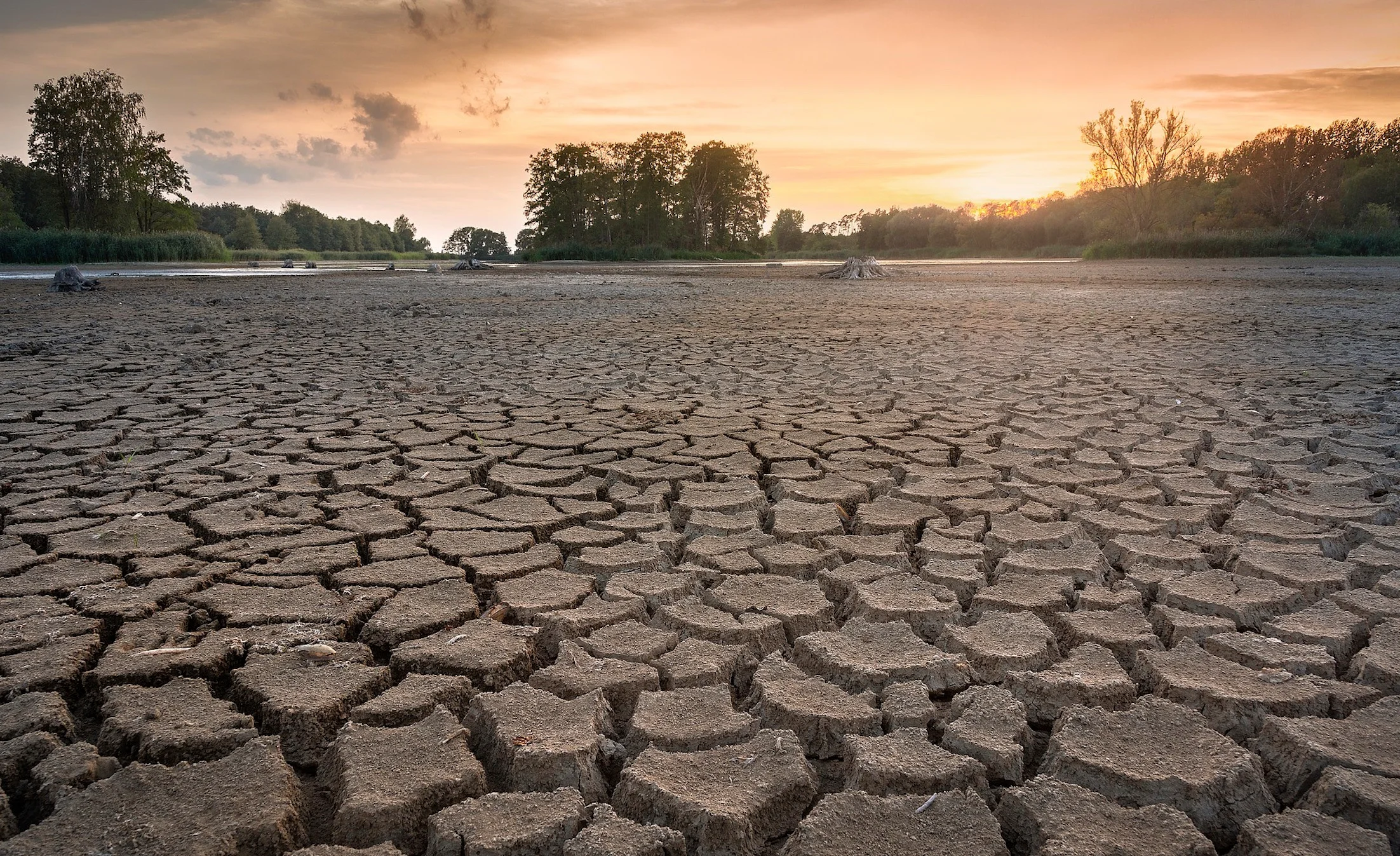 Cracked soil and drought.